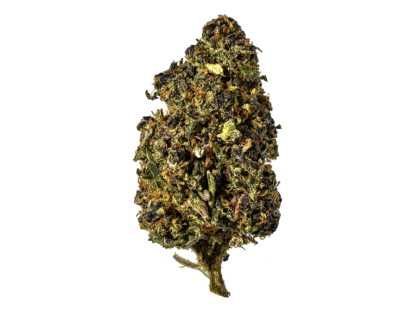 Featured image for Marijuana The ATF and The Laws