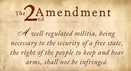 Featured image for I’ve seen avid gun owners state that if the government ordered for guns to be seized, agents would be shot attempting to do so. What would happen, legally, if someone had done exactly that in this hypothetical seizure?