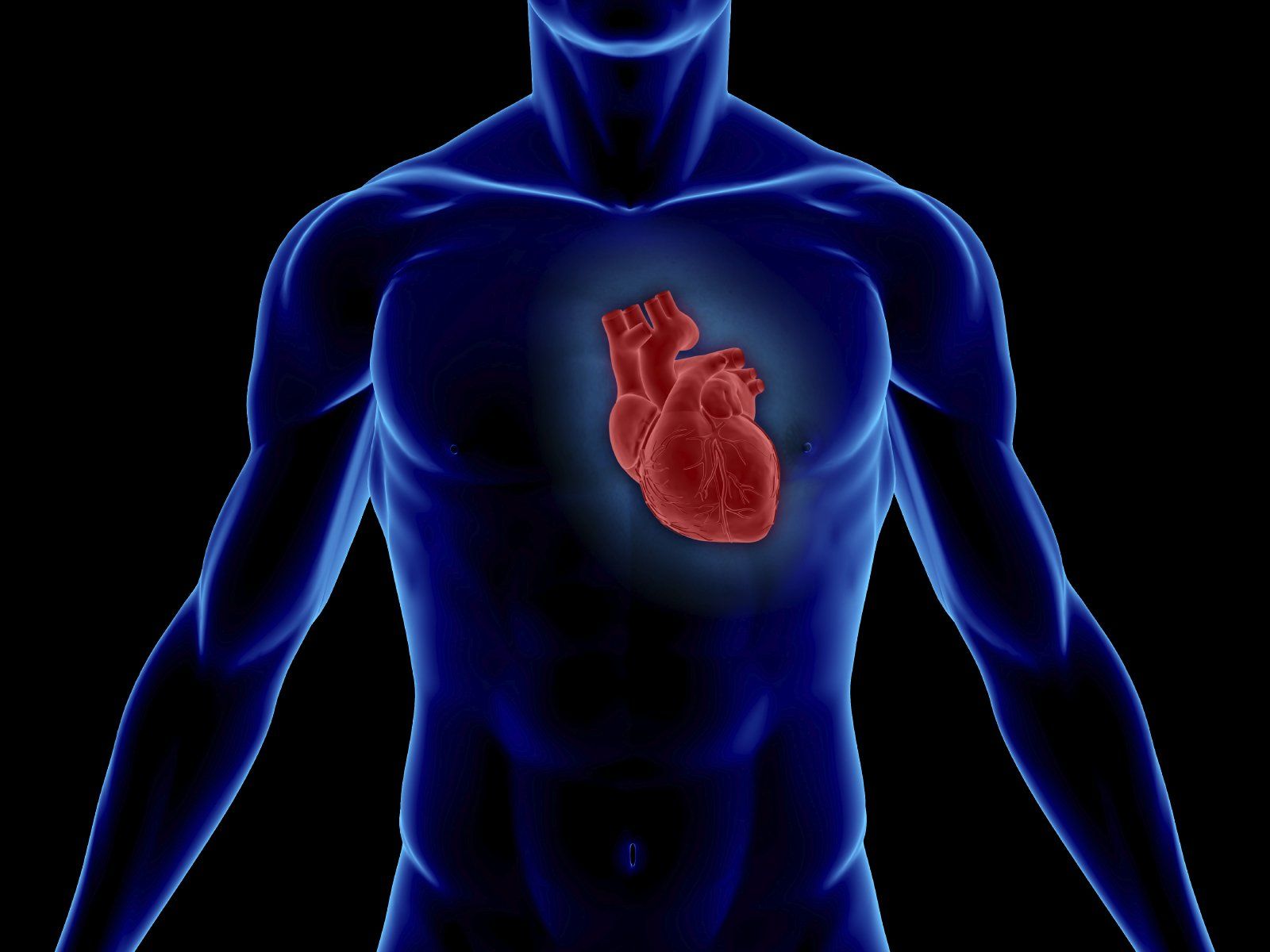 Featured image for Your Blood Pressure: Why It's Critical to GOOD HEALTH