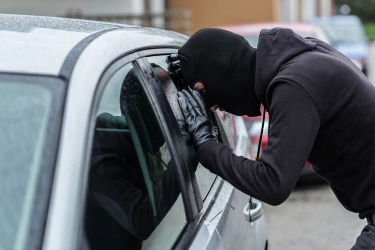 Featured image for More Gun Storage Information For Your Car