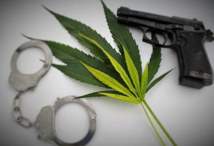 Featured image for Florida: Marijuana Current LAWS