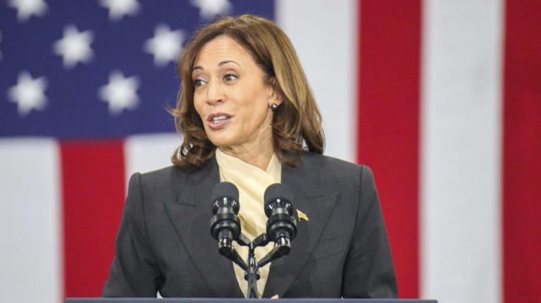 Featured image for Kamala Harris GUN ZAR. What Could Possible Go Wrong?