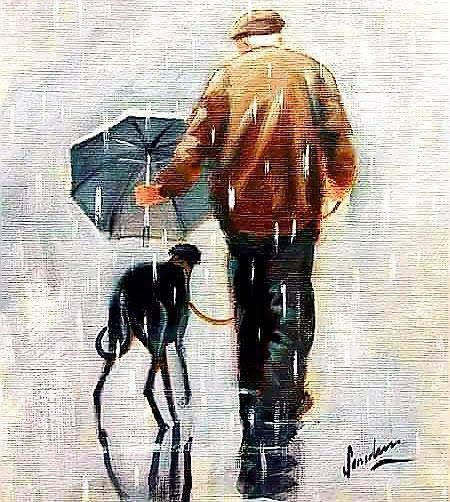 Featured image for Arksanas Fur Pet Finds Forever Home!
