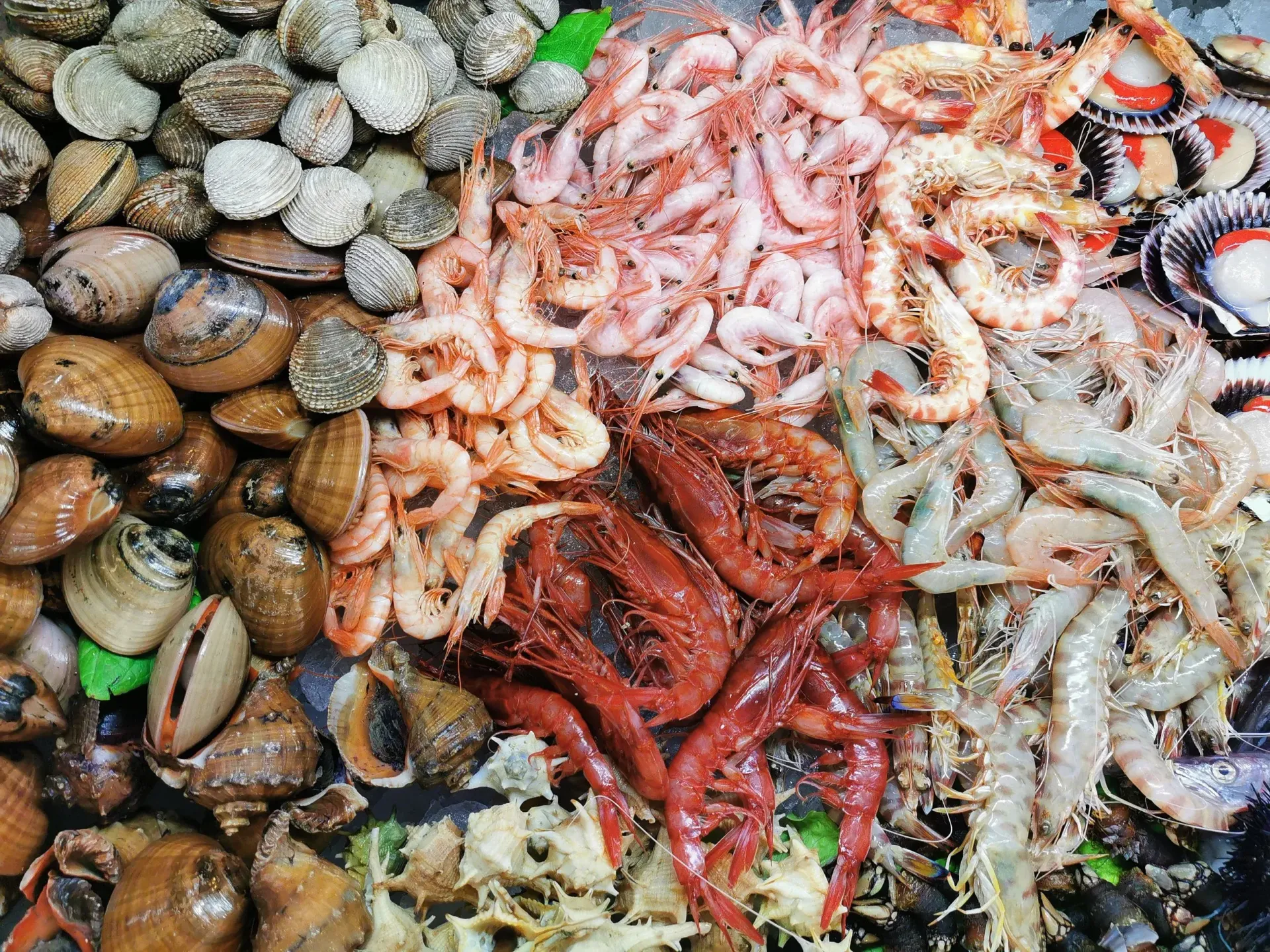 Featured image for Grillin and Guns TV: How To Properly Clean Shellfish