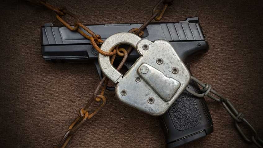 Featured image for Firearms and Young Adults