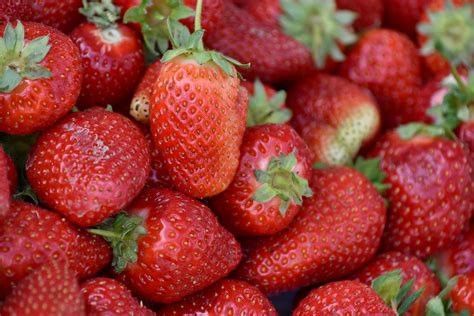 Strawberry Jam